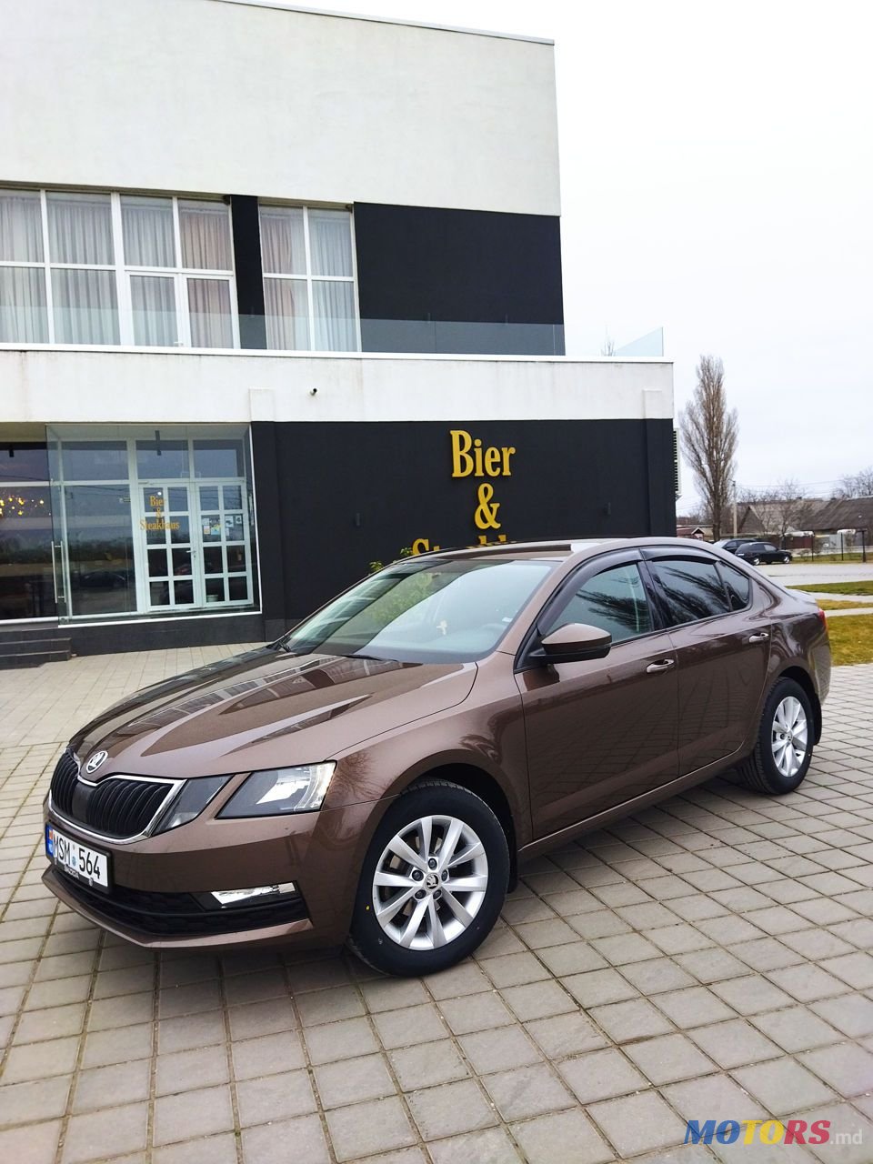 2019' Skoda Octavia photo #1