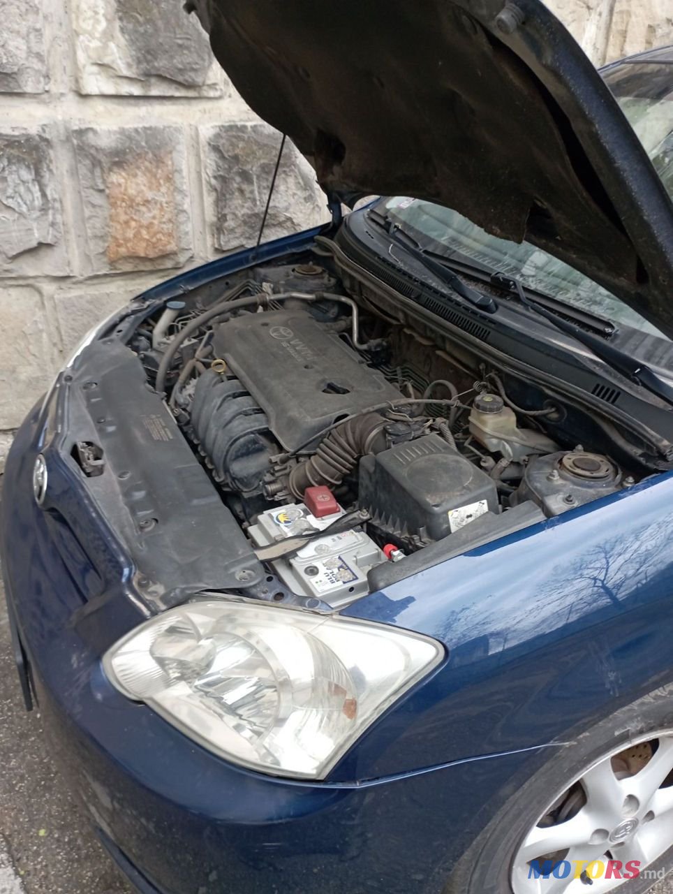 2006' Toyota Corolla photo #5