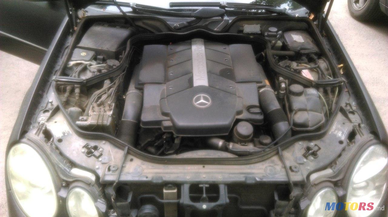 2003' Mercedes-Benz E-Class E500 photo #6