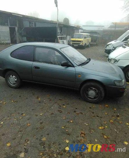 1993' Toyota Corolla photo #1