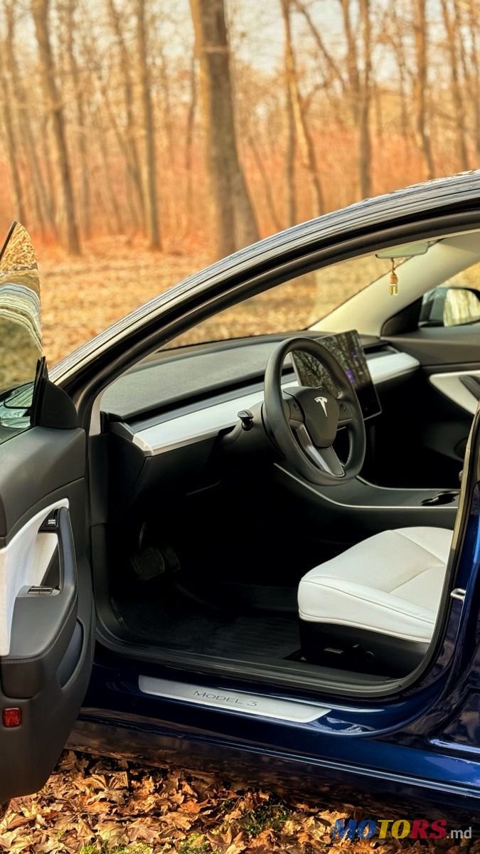 2020' Tesla Model 3 photo #4