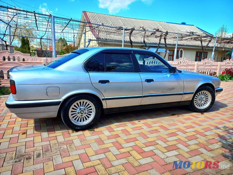 1995' BMW 5 Series photo #1