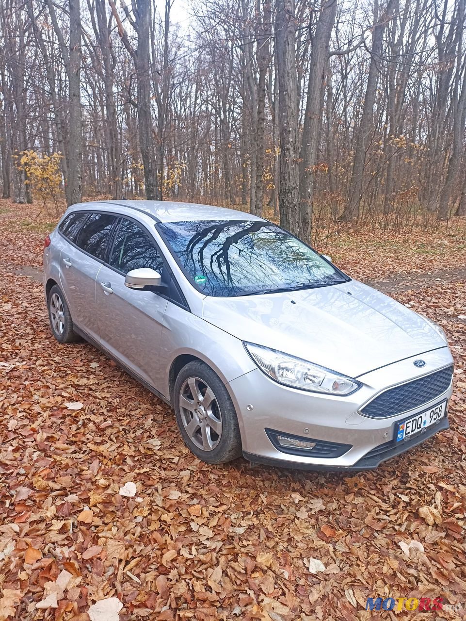 2015' Ford Focus photo #1