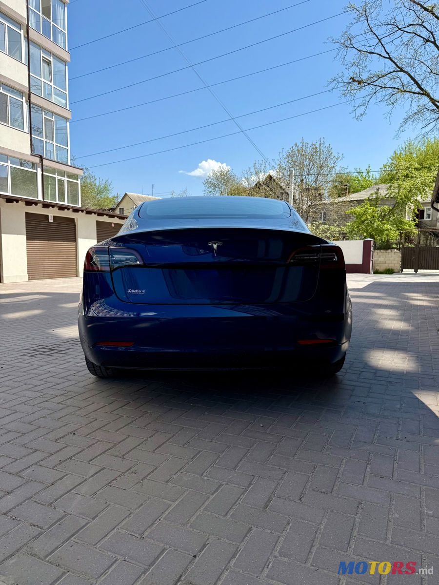 2021' Tesla Model 3 photo #4