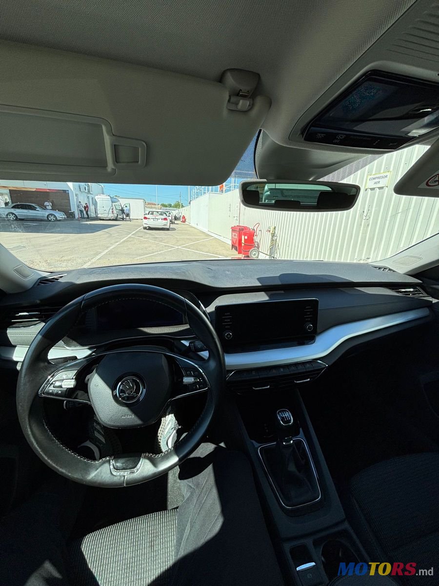 2020' Skoda Octavia photo #6