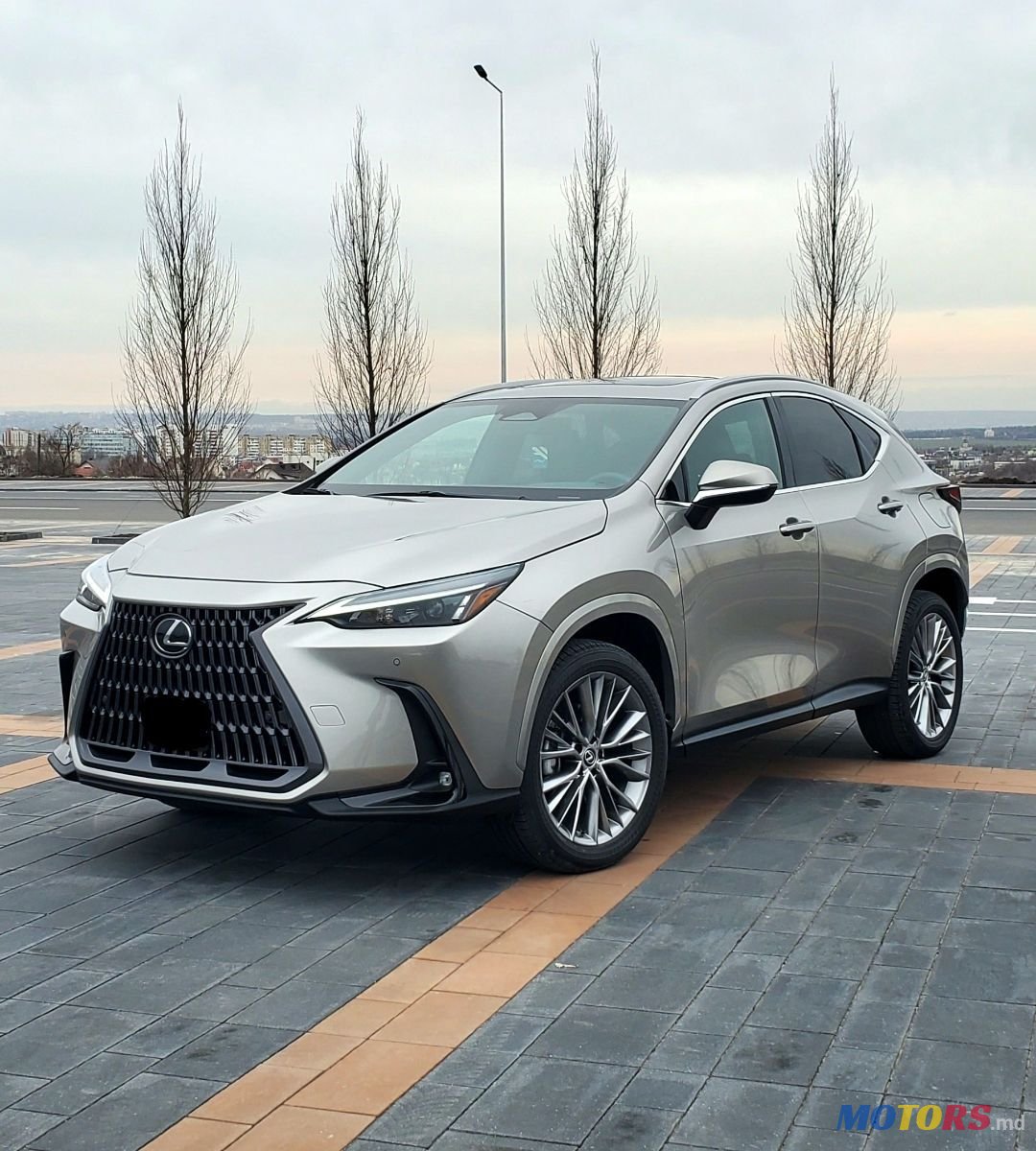 2023' Lexus Nx Series photo #2