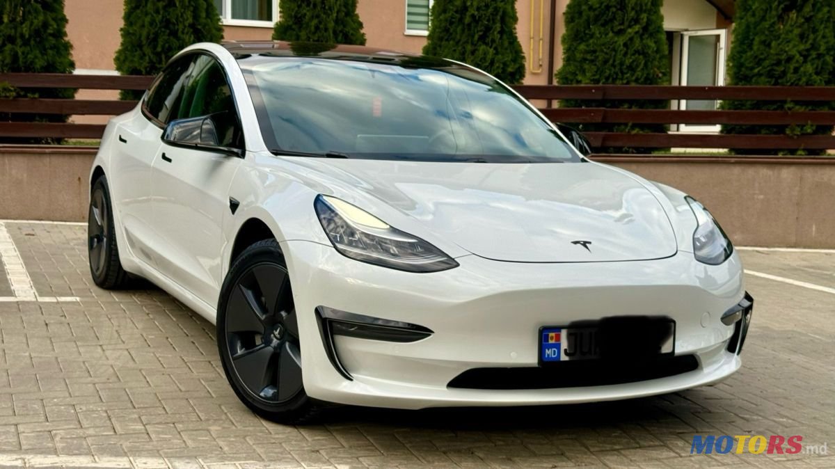 2020' Tesla Model 3 photo #1