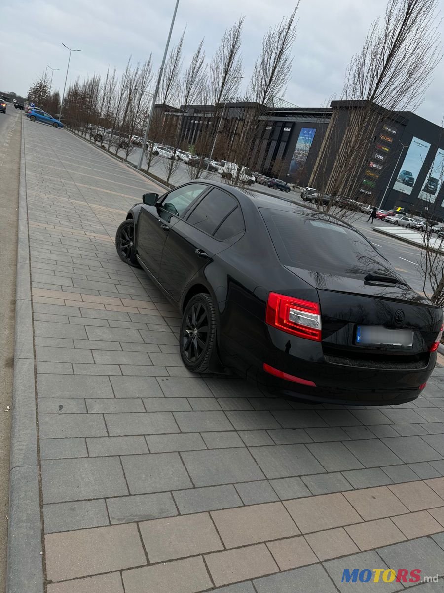 2014' Skoda Octavia photo #4