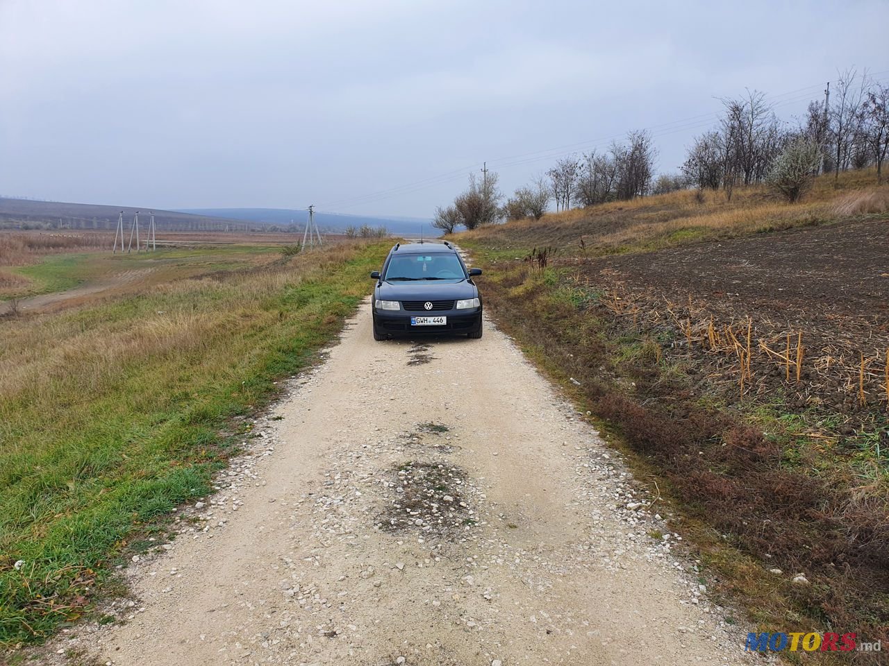 1999' Volkswagen Passat photo #3