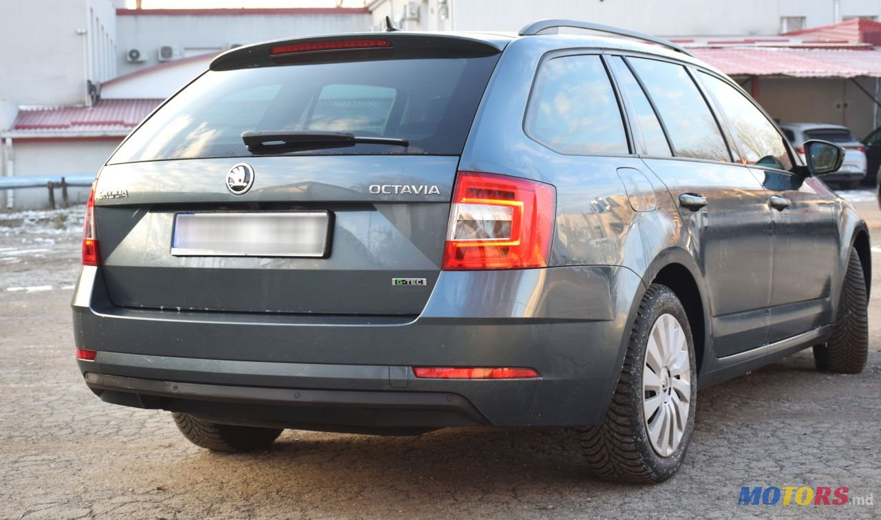 2020' Skoda Octavia photo #4