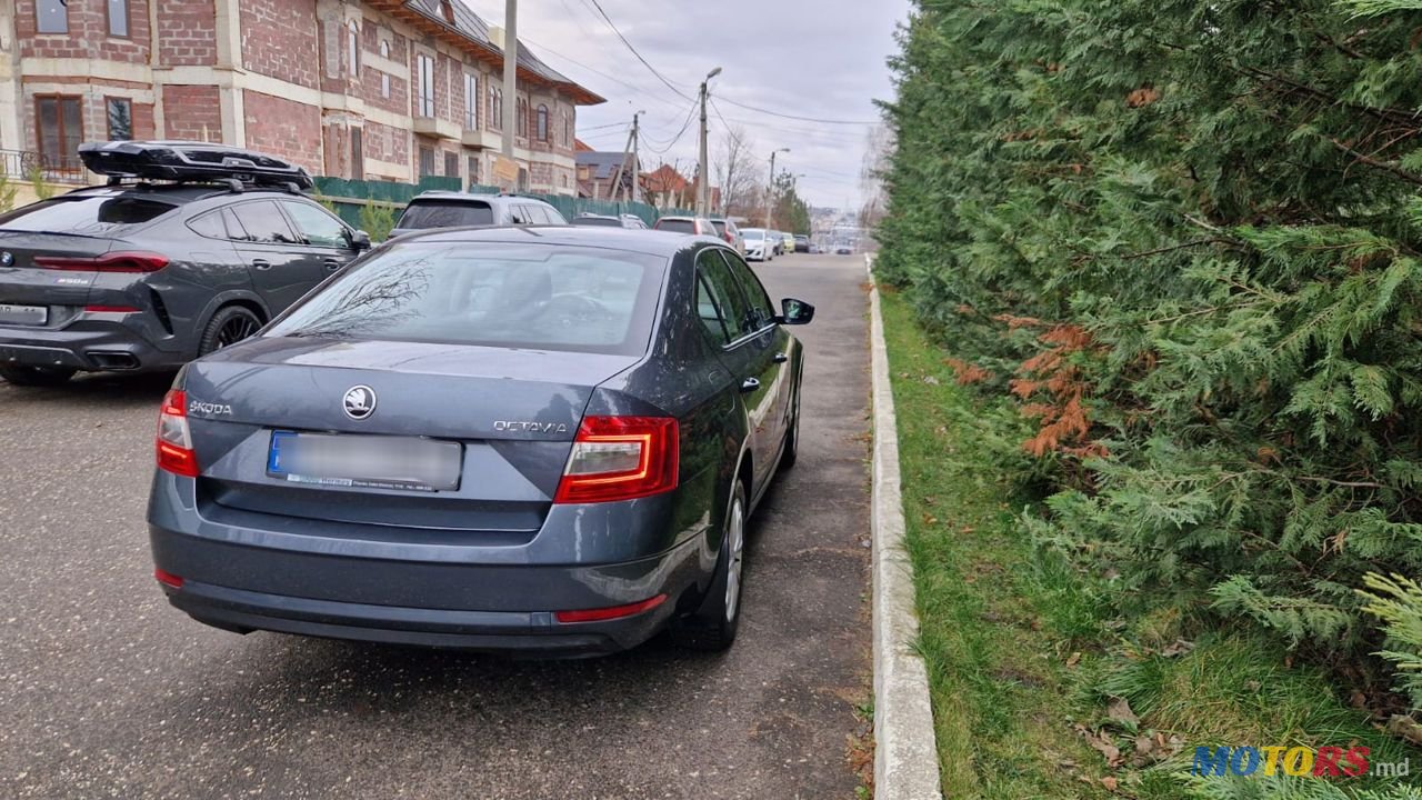 2019' Skoda Octavia photo #5
