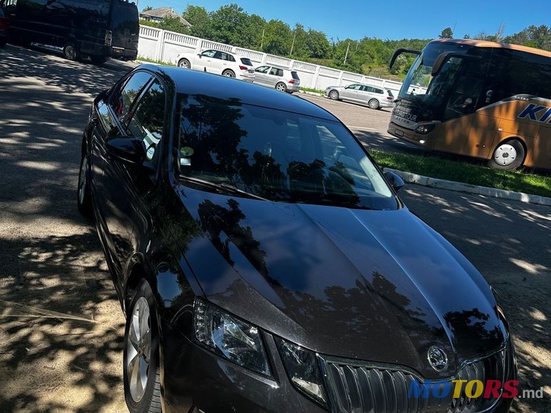 2019' Skoda Octavia photo #1