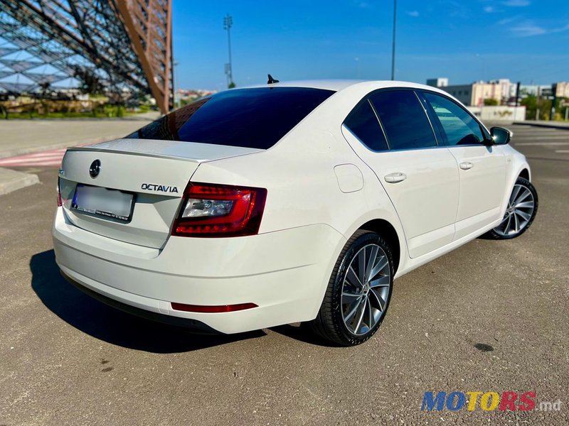 2019' Skoda Octavia photo #3