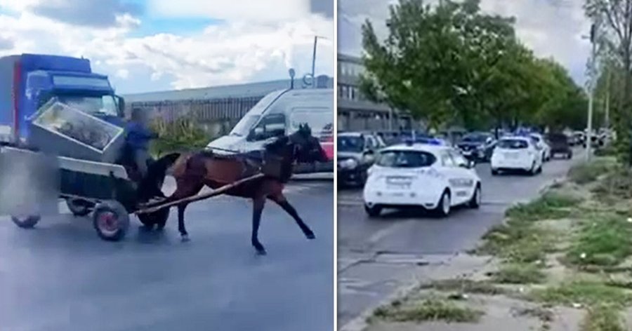 В Румынии 3 экипажа полиции не могли остановить телегу, мчащуюся по дороге