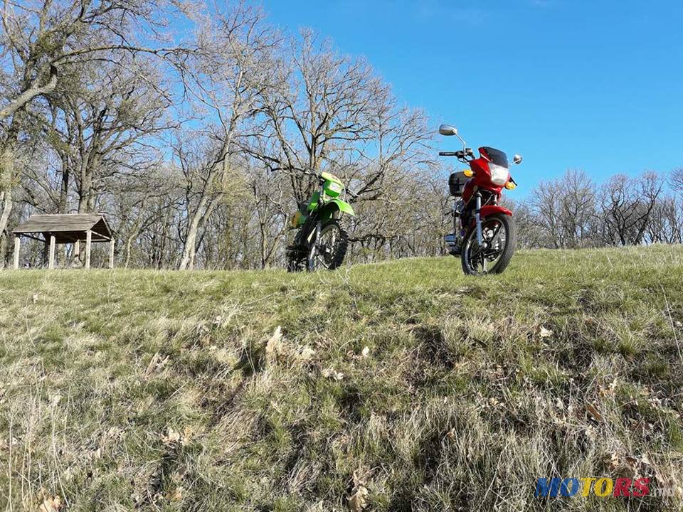 2012' Viper photo #6