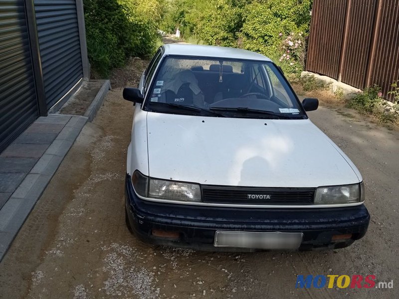 1988' Toyota Corolla photo #2