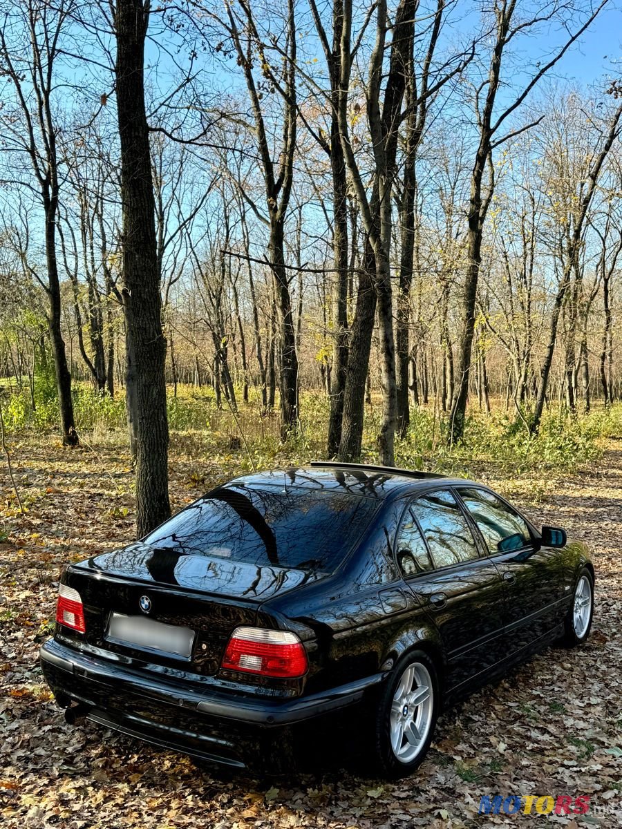 2001' BMW 5 Series photo #5