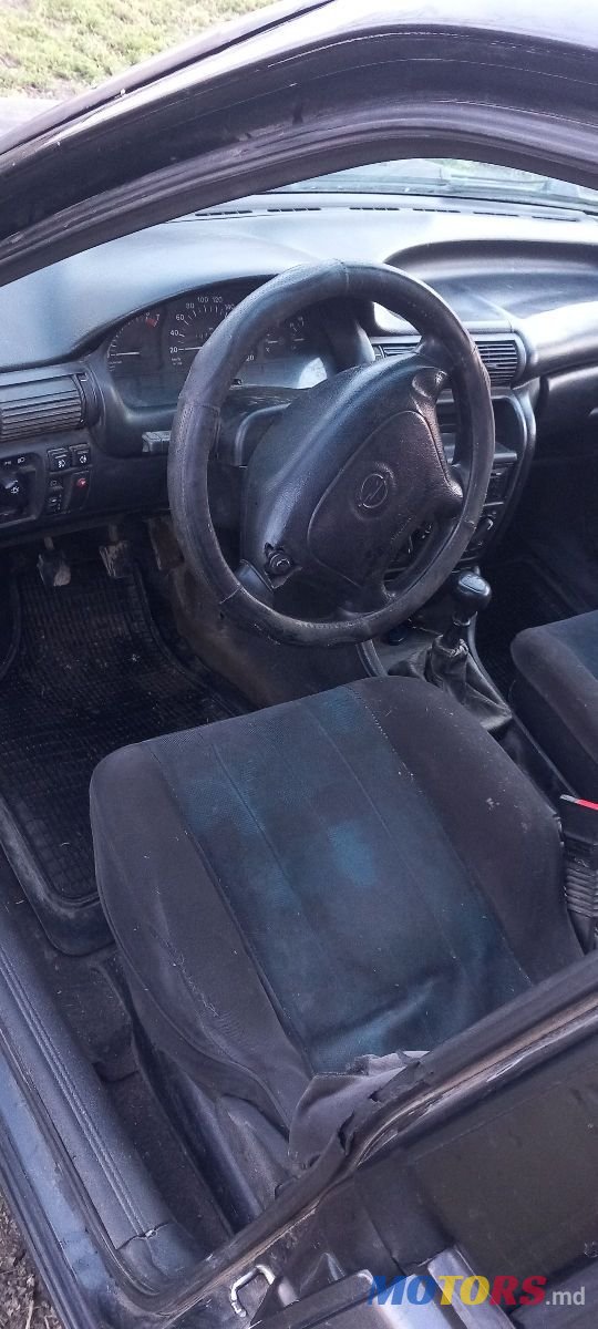 1995' Opel Astra photo #6