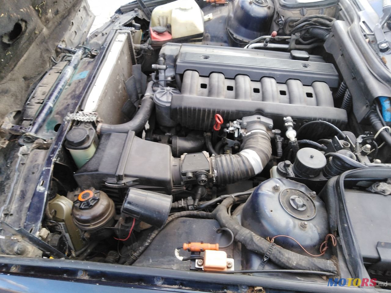 1992' BMW 5 Series photo #3