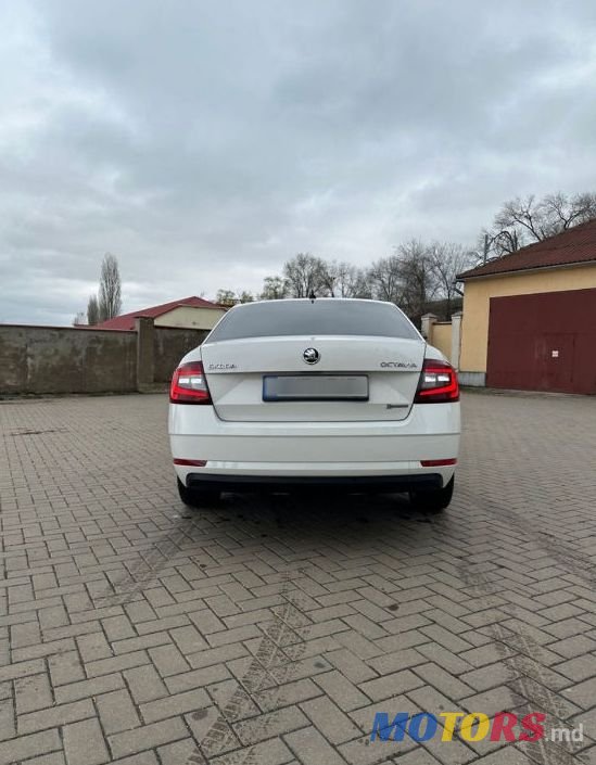 2018' Skoda Octavia photo #3
