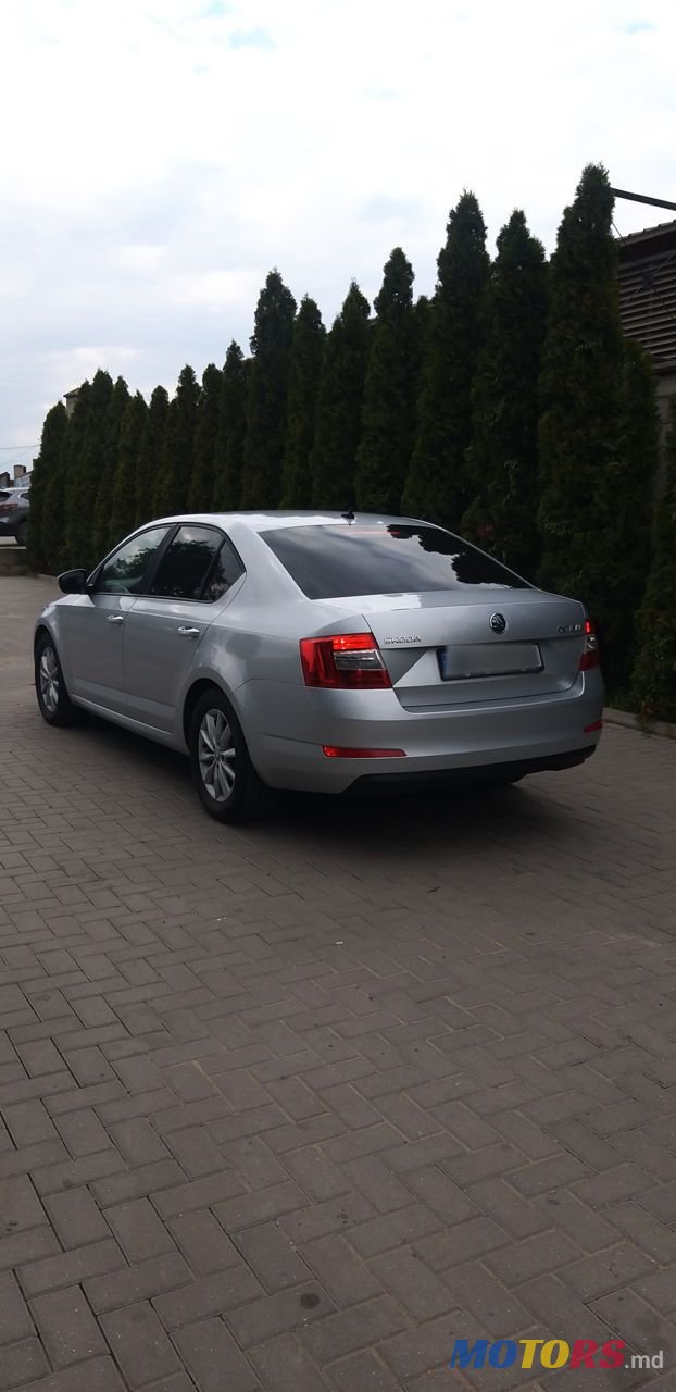 2015' Skoda Octavia photo #5