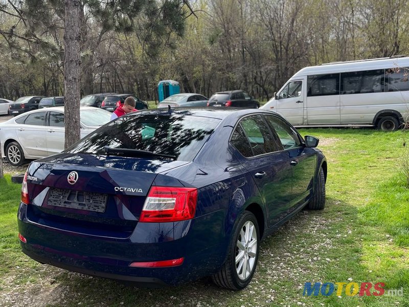 2015' Skoda Octavia photo #4