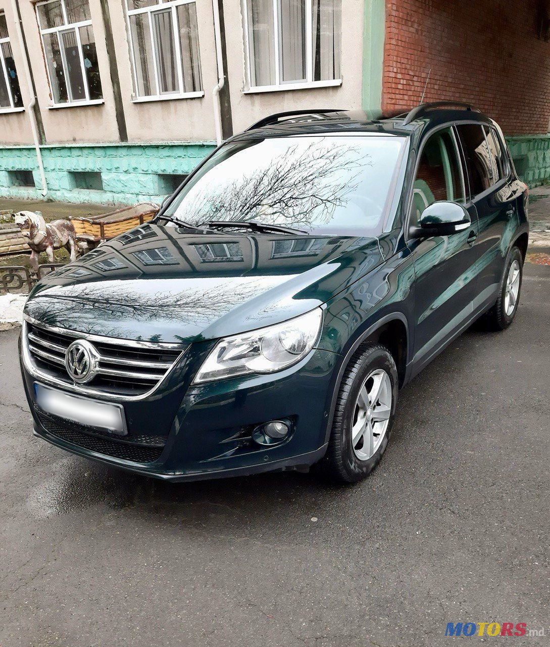 2010' Volkswagen Tiguan photo #4