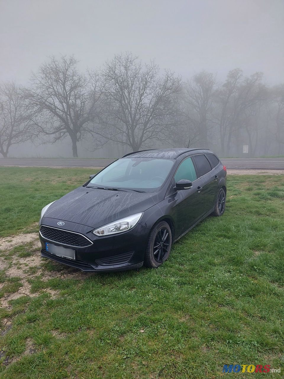 2015' Ford Focus photo #1