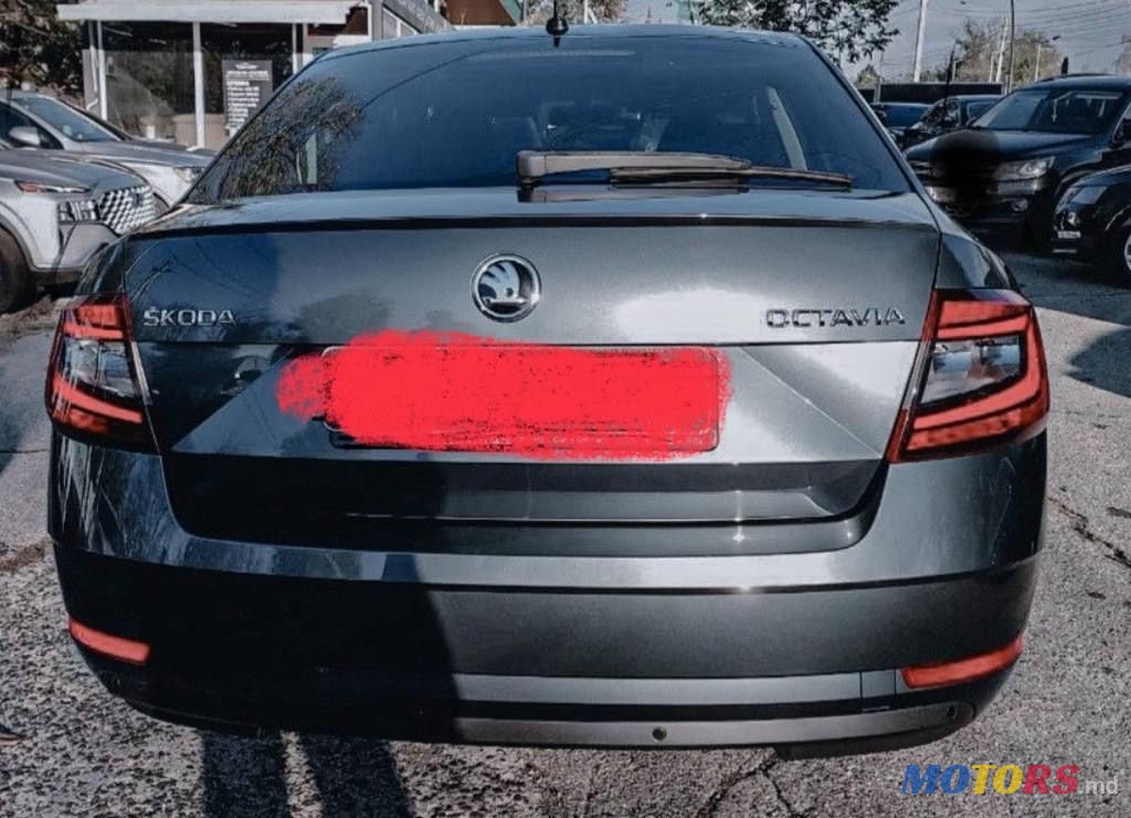 2019' Skoda Octavia photo #3