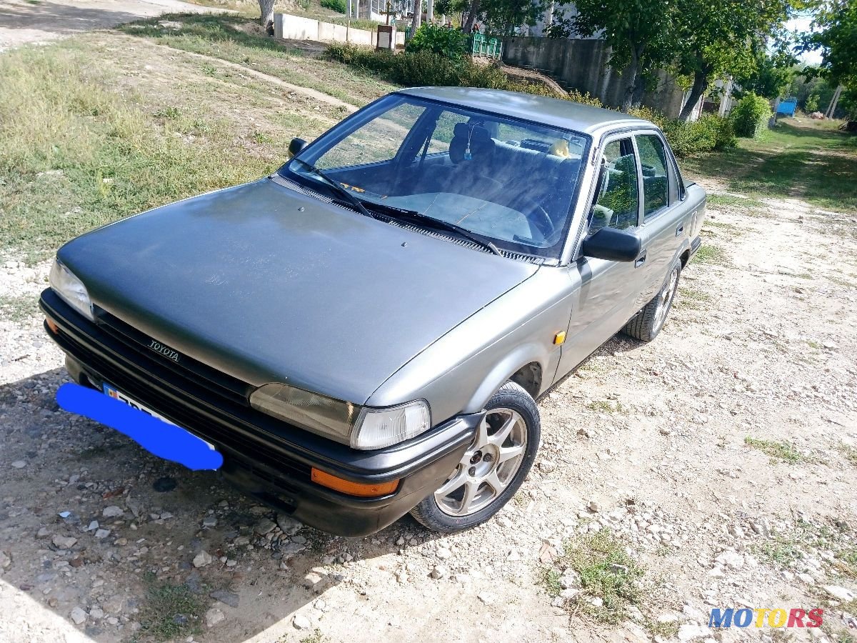 1991' Toyota Corolla photo #5