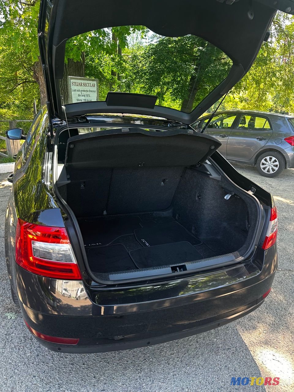 2019' Skoda Octavia photo #5