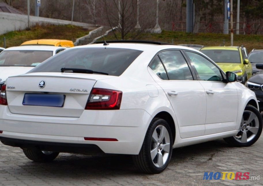 2019' Skoda Octavia photo #2