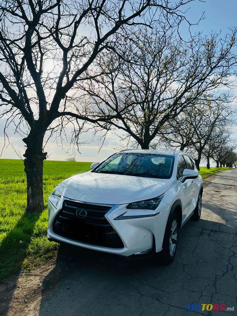 2015' Lexus Nx Series photo #1