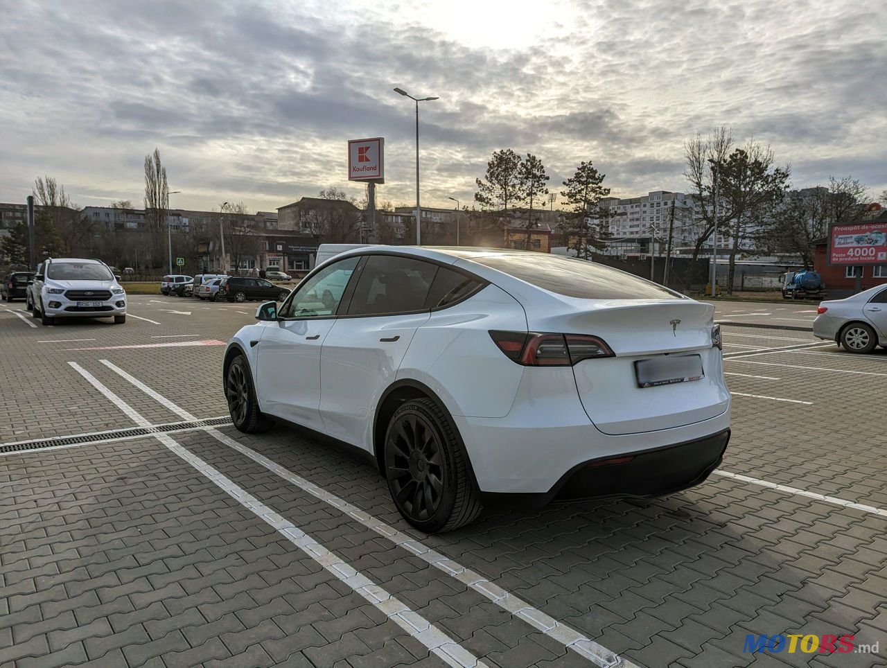 2023' Tesla Model Y photo #4