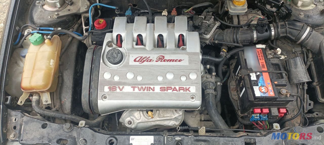 2000' Alfa Romeo 146 photo #4