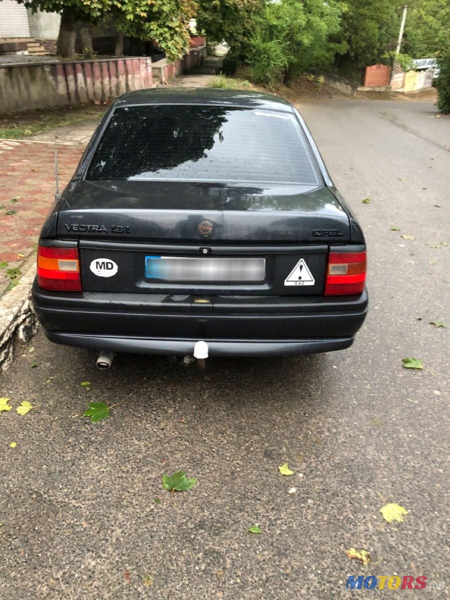 1994' Opel Vectra photo #5