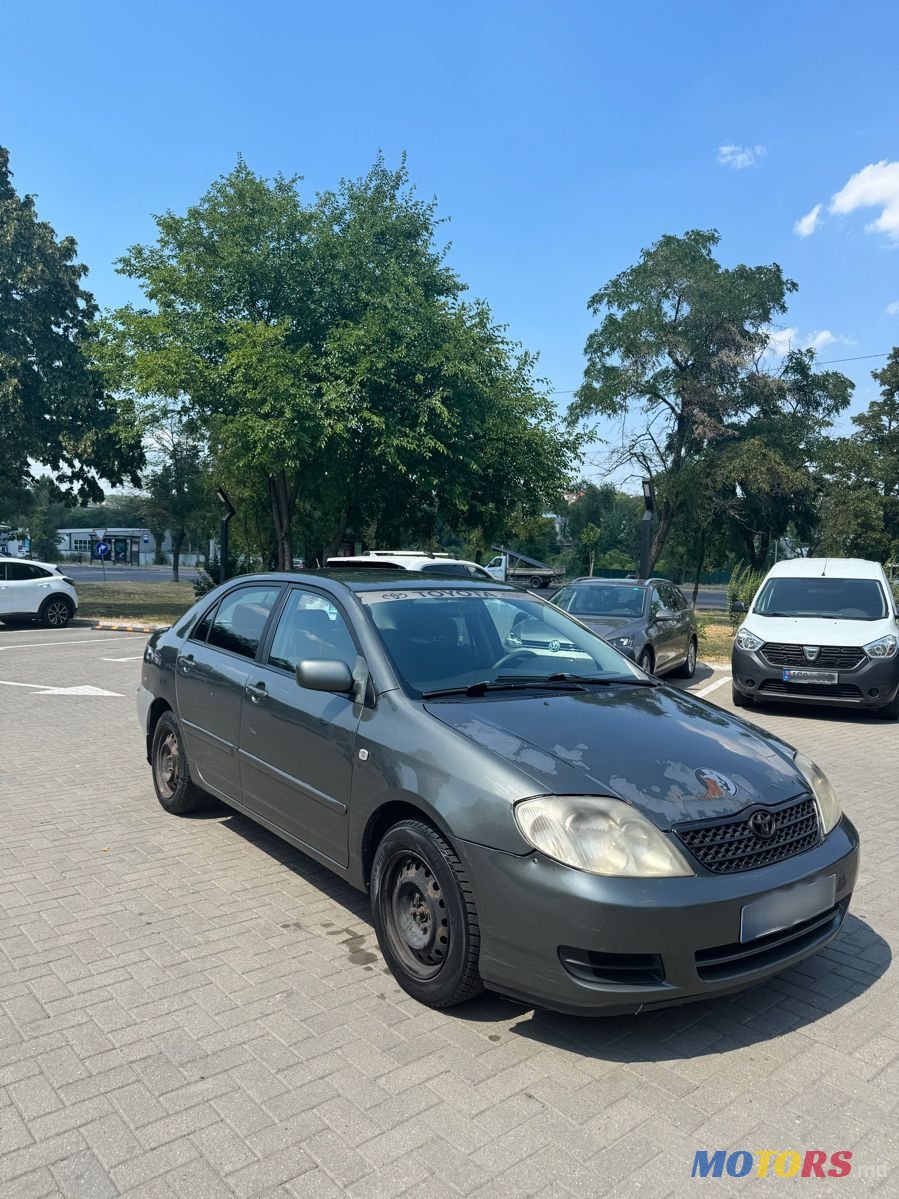 2003' Toyota Corolla photo #3