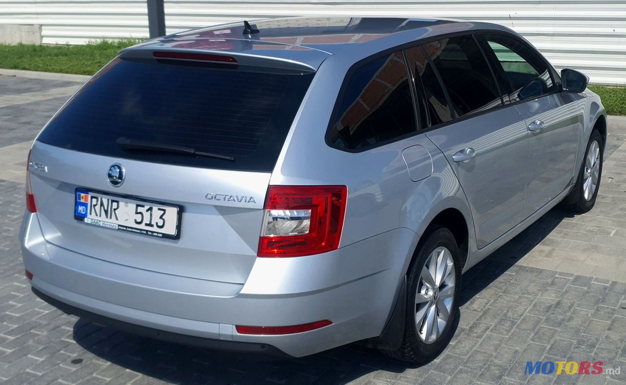 2020' Skoda Octavia photo #3