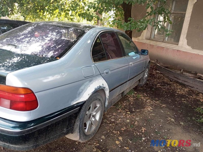 1997' BMW 5 Series photo #3