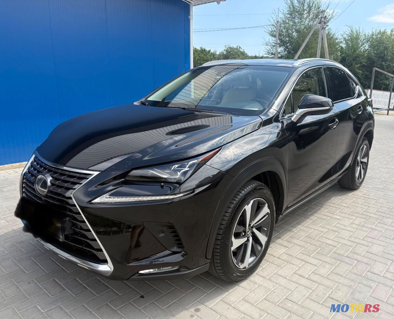 2019' Lexus Nx Series photo #1