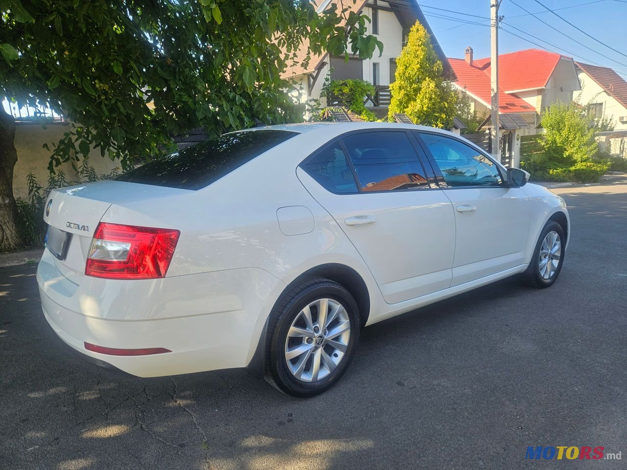2018' Skoda Octavia photo #4