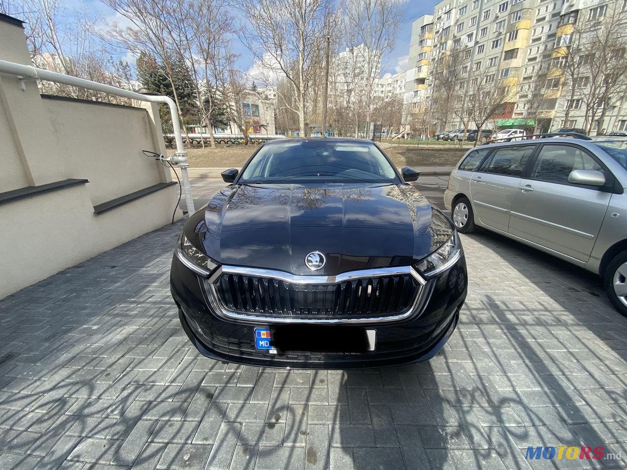 2021' Skoda Octavia photo #2