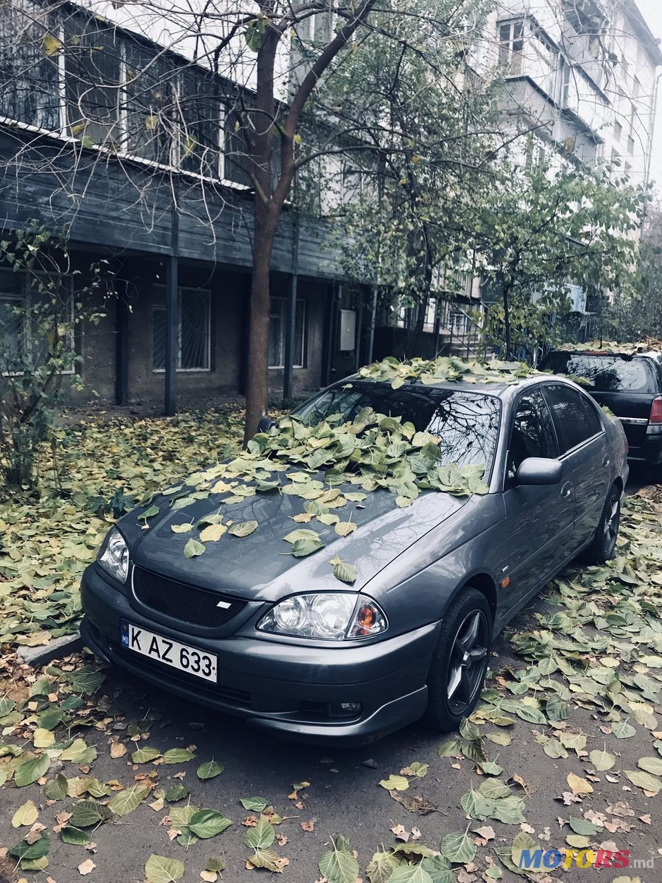 2002' Toyota Avensis photo #6