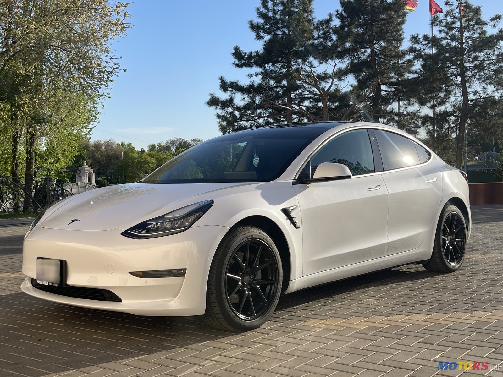 2020' Tesla Model 3 photo #2