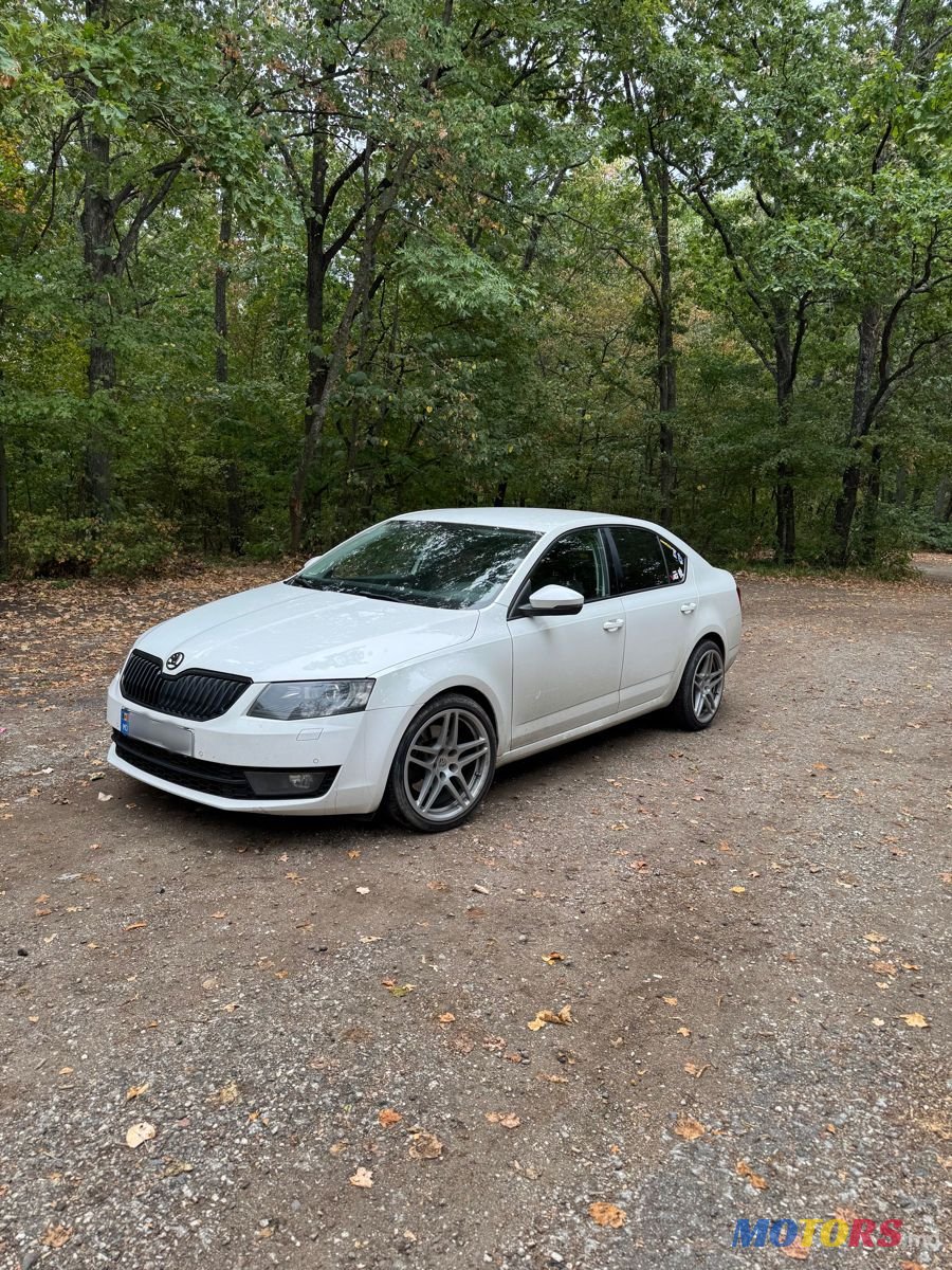 2013' Skoda Octavia photo #1
