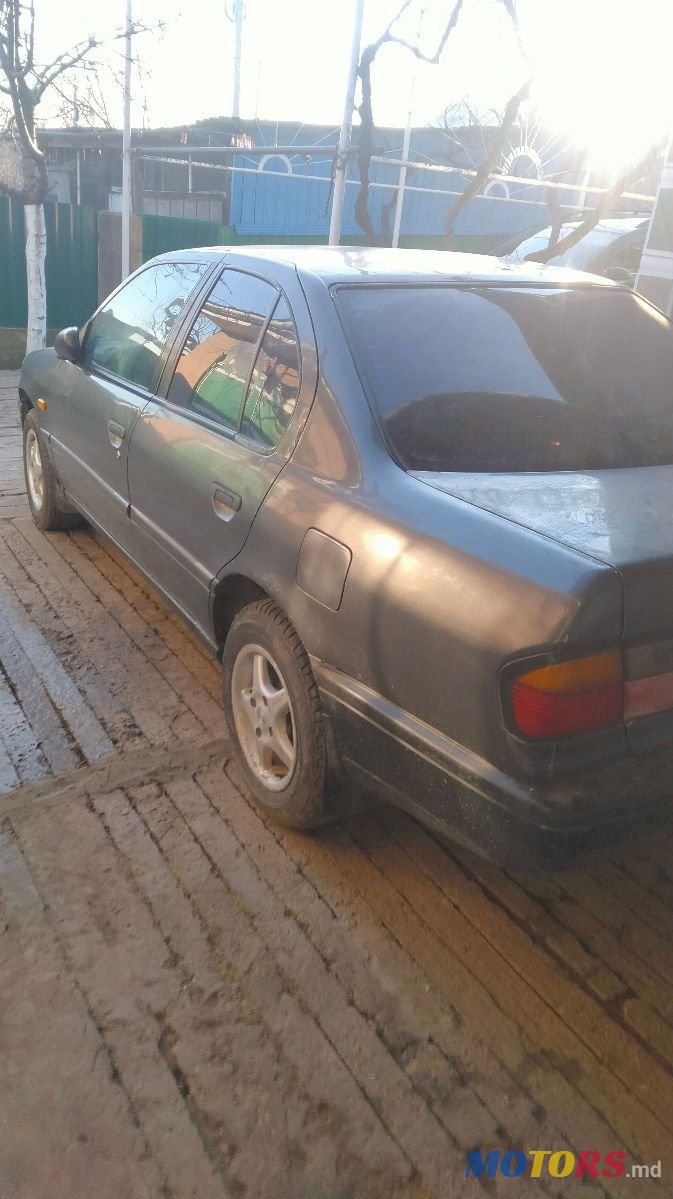 1992' Nissan Primera photo #4