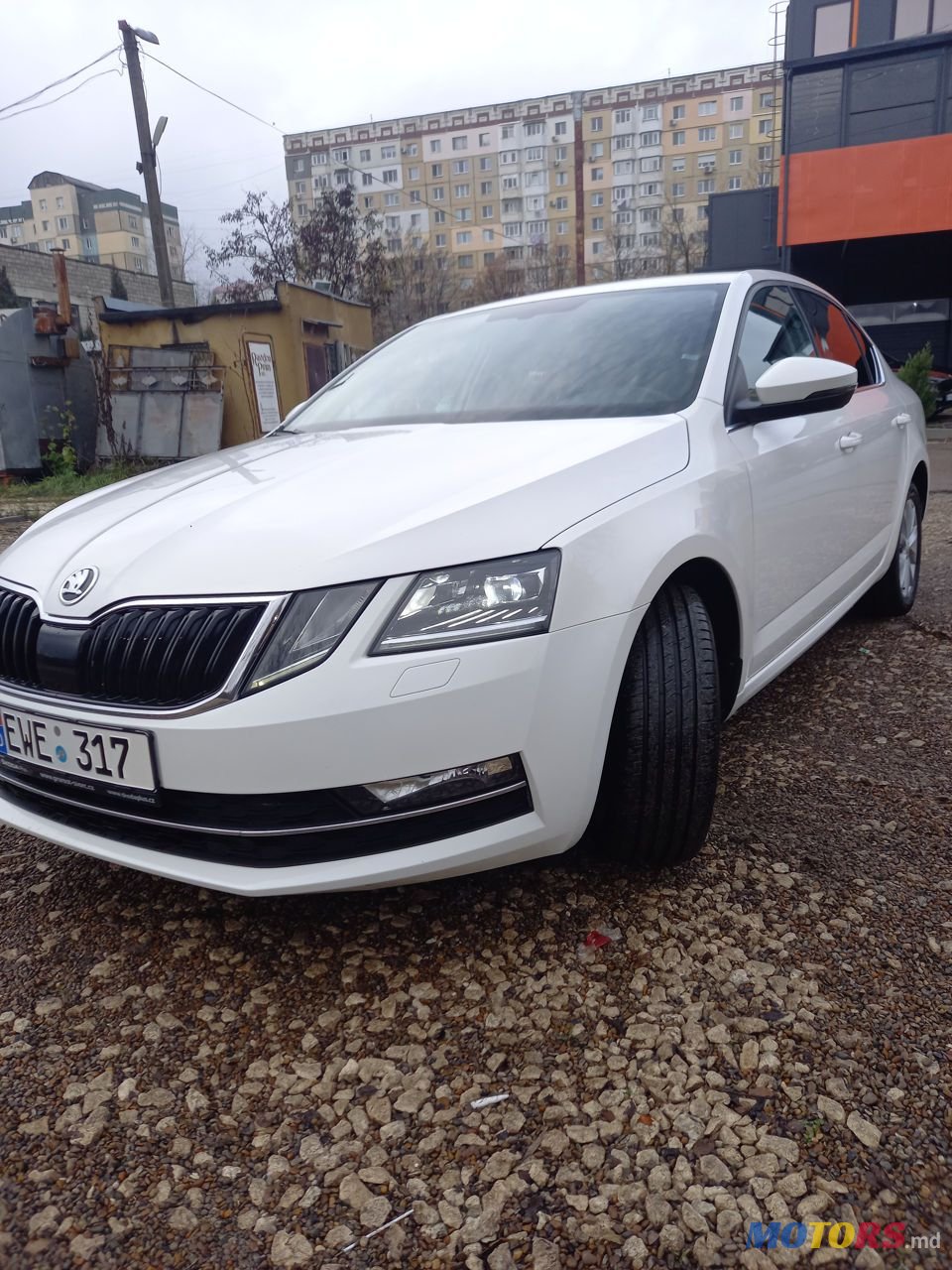 2017' Skoda Octavia photo #2