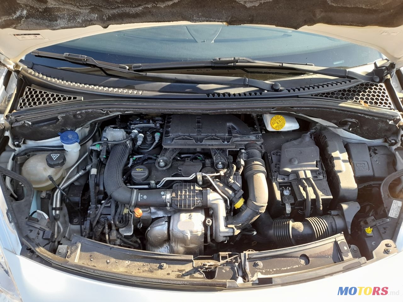 2011' Citroen C3 photo #6