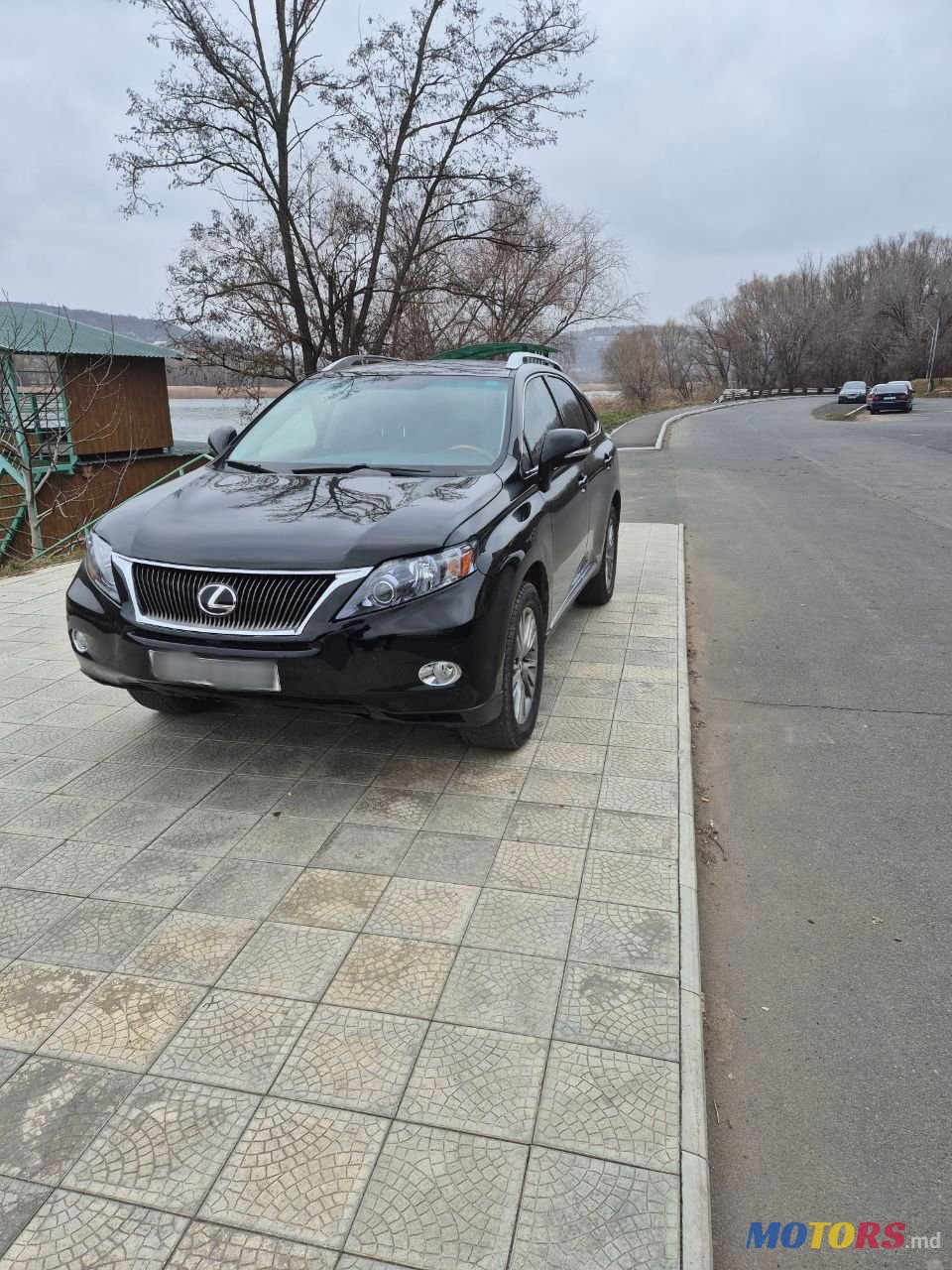 2010' Lexus Rx Series photo #3