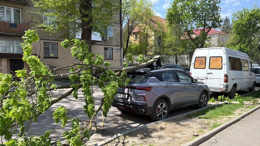 Câte autovehicule au fost afectate de Codul Portocaliu de vânt puternic? Copaci au căzut și în trafic